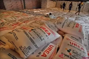 Strategi Disederhanakan, Petani Tebus 7.536 Ton Pupuk Subsidi dalam  Awal Tahun