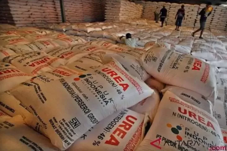 Strategi Disederhanakan, Petani Tebus 7.536 Ton Pupuk Subsidi dalam  Awal Tahun