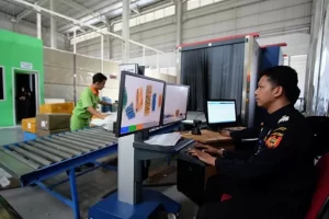 Bea Masuk dan juga Pajak Impor Barang Kiriman Rp1,7 T pada 2024, DJBC: Tak Signifikan, Tapi Bikin Ribet