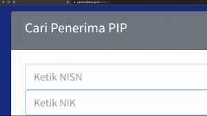 Waspadai! Situs PIP 2025 Palsu Incar Data Siswa dan Rekening
