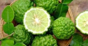 6 Tanaman Pemanggil Ular, Termasuk Jeruk Purut