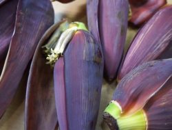9 Manfaat Jantung Pisang: Superfood Bergizi Harga Terjangkau