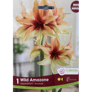 Klasemen Proliga Terbaru: Bandung BJB Kalahkan Jakarta Elektrik PLN