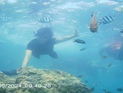 Pulau Pari: Pantai, Snorkeling, Sunset, dan Tips Liburan Lengkap