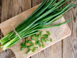 Cara Menyimpan Daun Bawang Segar Selama 3 Minggu di Kulkas