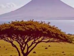 5 destinasi wisata paling menarik di Flores untuk liburan Natal dan Tahun Baru