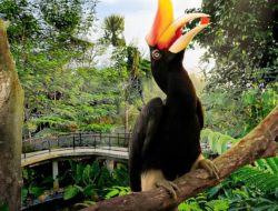 Harga Tiket Aviary Park Tangerang, Promo B4G5 Tahun Baru 2026