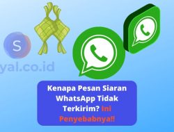 Pesan WhatsApp Tertunda Meski Sinyal Kuat? Ini Penyebab dan Solusinya