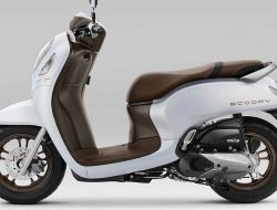 Rekomendasi Motor Matic Terbaik untuk Wanita 2025: Modis, Ringan, Nyaman