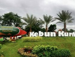 Terbaru 2026! 7 Wisata Pasuruan Paling Hits dengan Harga Tiket Lengkap