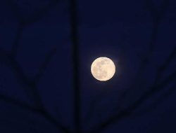 Daftar 13 Fenomena Bulan 2026