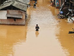 Membaca Ulang Pasal 33 dalam Krisis Ekologis