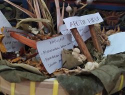 Ratu Botani Solo: Warisan Leluhur Jadi Gaya Hidup Modern dan Solusi Kesehatan Masa Depan