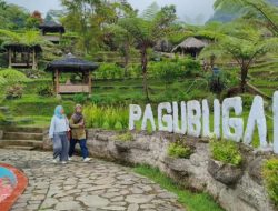 Pesona Desa Melung: Transformasi dari Desa Tertinggal ke Maju di Banyumas