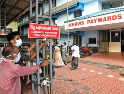 Wabah Nipah di India: Tanda-tanda Penularan dan Bahaya Kematian