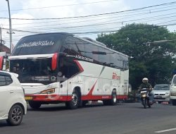 Jadwal dan Harga Tiket Bus AKAP Bali ke Jawa, Kamis (1/1)!