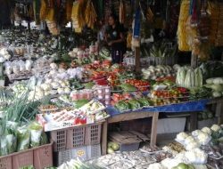 KDMP Tubuhue Siap Sediakan Satu Ton Sayur Segar Harian Jika Gerai Selesai