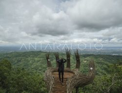 Glamping Pinus Pengger, destinasi wisata baru di Bantul