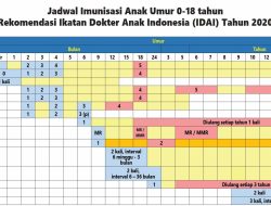 Jadwal Bioskop Purwodadi Grobogan Jumat, 2 Januari 2025: Film Baru Menemani Liburan Awal Tahun