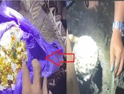 Strategi licik HA, penyimpanan jam dan emas curian di bawah pot bunga