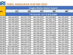 Plafon KUR 2026 Naik Jadi Rp 300 Triliun, Cek Tabel Angsuran dan Syarat BRI