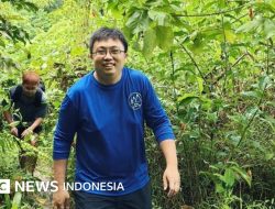 Keteledoran Sopir WNA Tewaskan WNI Sheyna di Singapura: Lihat Kiri, Belok Kanan
