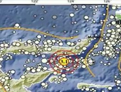 Gempa Mengguncang Sulawesi Utara Pada 31 Januari 2026