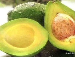 Makan satu alpukat sehari, manfaat luar biasa untuk tubuh!