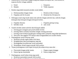 Contoh Soal IPS Akhir Tahun Kelas 5 SD