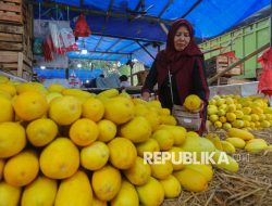 Sampah Menggunung Teratasi, Wajah Baru Pasar Induk Kramat Jati Muncul