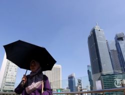 Paru-paru Kota Siak Dibabat, Warga Merasakan Udara Lebih Panas