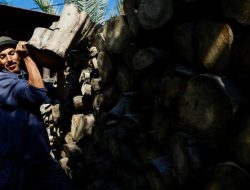 Harga gas 12 kg melonjak, warga kelas menengah terpuruk