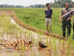 Pembunuhan karena sengketa warisan 1 miliar, Yansah tewas ditusuk kerabat