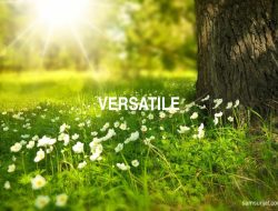 Arti kata versatile secara singkat dan jelas